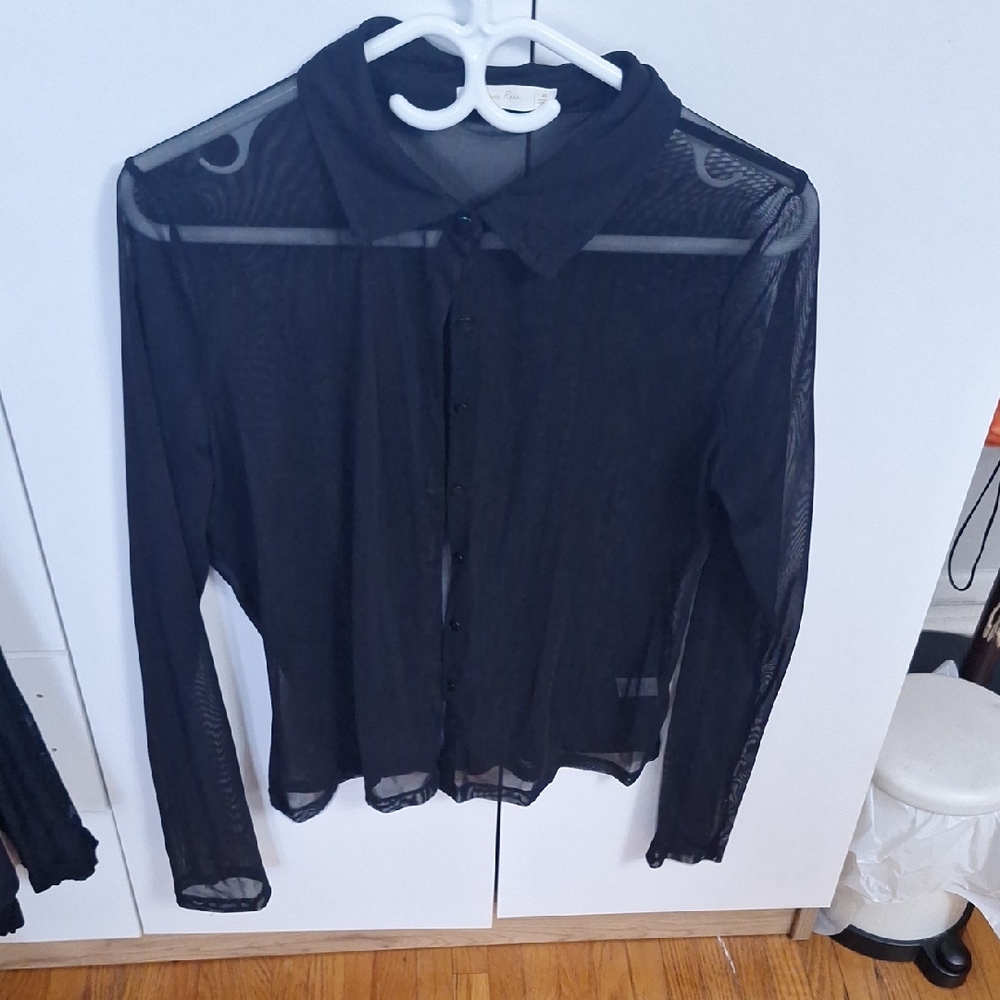 Elegant Black Sheer Blouse
